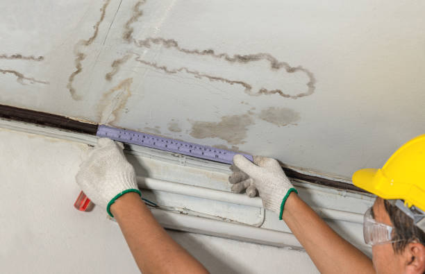 Reliable Mold Remediation contractor in Paris, TX by Water Damage Irwin